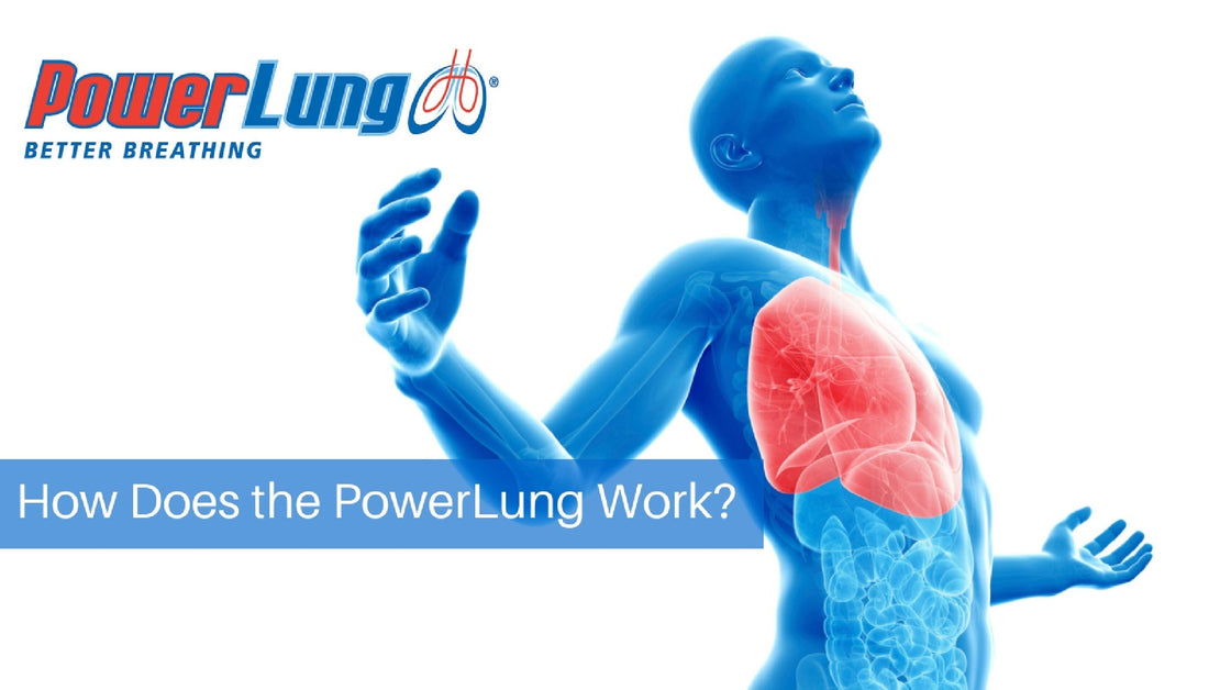 How Does the PowerLung Work?