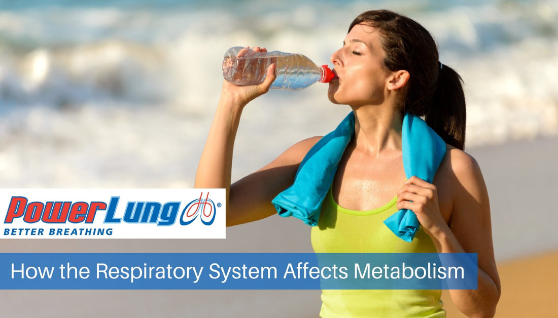How the Respiratory System Affects Metabolism