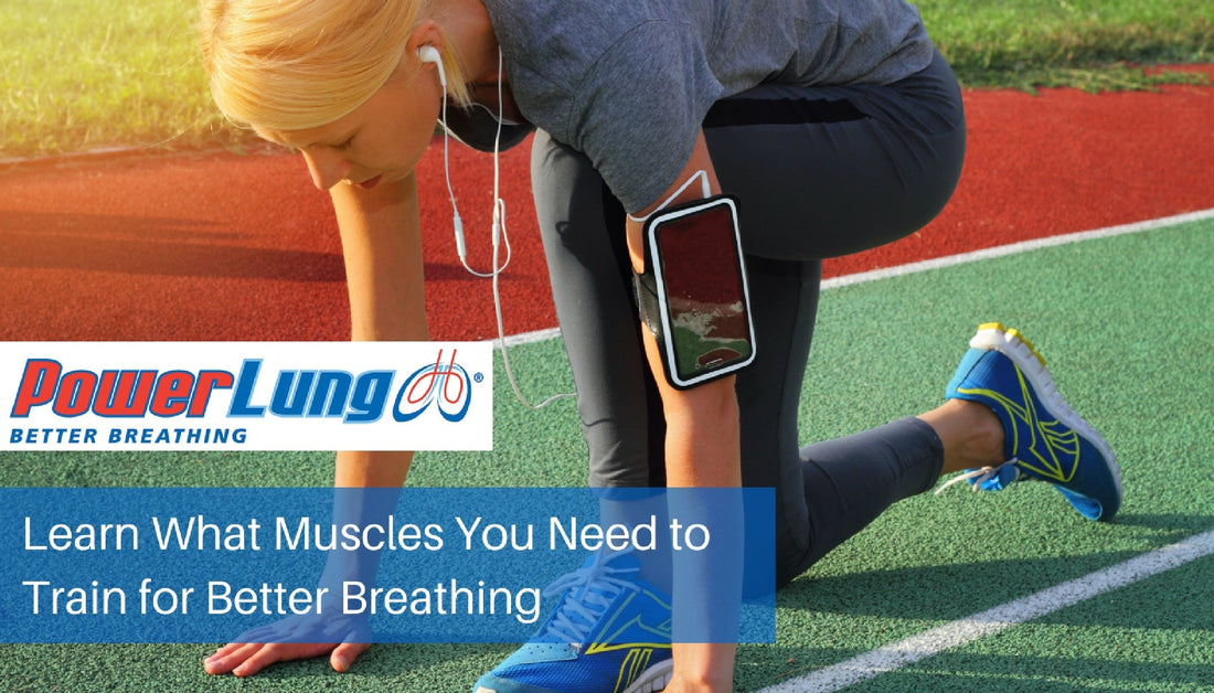 Learn What Muscles You Need to Train for Better Breathing